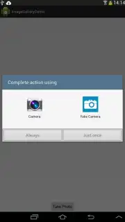 Fake Camera capture 4