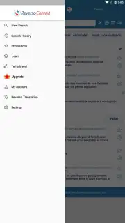 Reverso Translation Dictionary capture 8