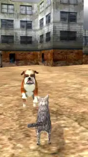 HomelessCat capture 1