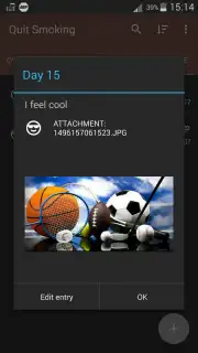 RazenDev Quit Smoking capture 6