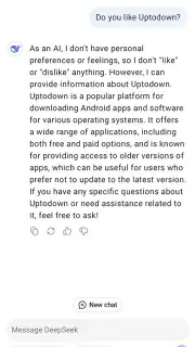 DeepSeek capture 4