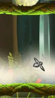 Ninja Run capture 1