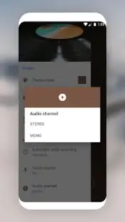 MP3 Recorder capture 12