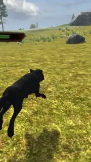 Wild Life: Wolf Clan capture 8
