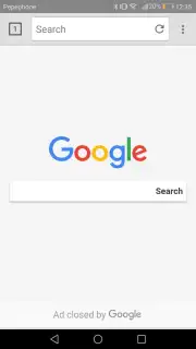 8G Internet Browser capture 5