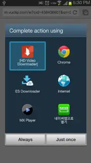 HD Video Downloader capture 3