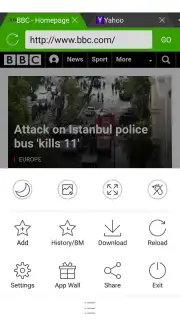 Web Browser capture 2