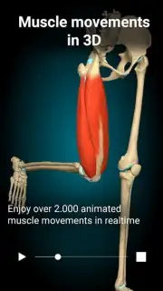 3D Anatomy Learning capture 5
