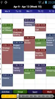 Business Calendar capture 2