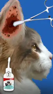 Cat ASMR: Salon Makeover capture 6