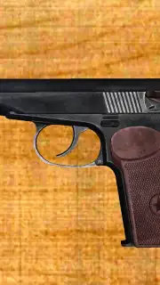 Weapon stripping capture 17