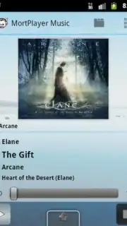 MortPlayer Music capture 7