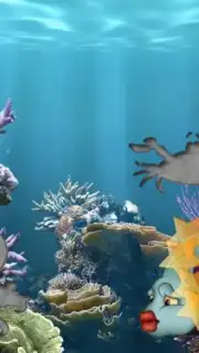Fishes Puzzles for Toddlers ! capture 2
