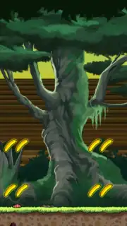Banana Kong capture 11