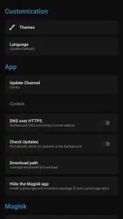 Magisk Delta capture 5