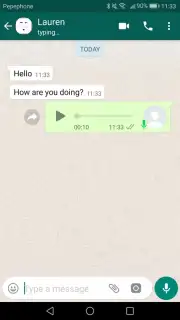Fake Chat Whatsapp capture 7