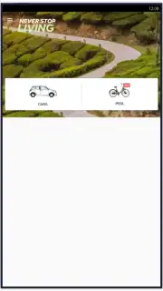 Zoomcar capture 2