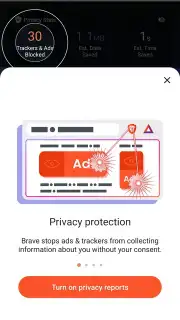 Brave Browser (Beta) capture 10