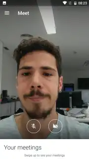 Google Meet (Original) capture 6