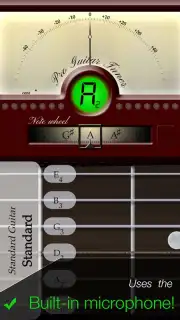Pro Guitar Tuner capture 2