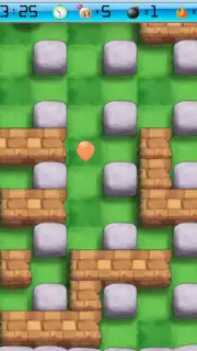 The Bomber capture 5