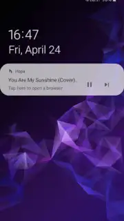 Hopa - Background Browser capture 11