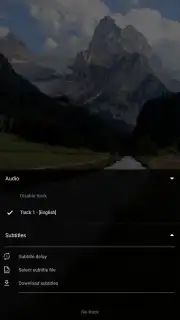VLC capture 3