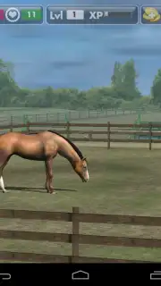 My Horse capture 8