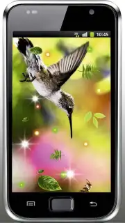 Colibri Spring 3D LWP capture 3