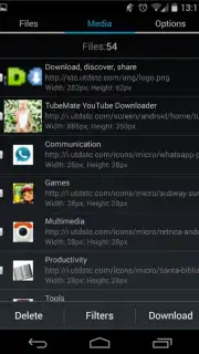 GetThemAll Any File Downloader capture 2