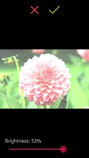 After Effect capture 9