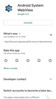 Android System WebView capture 15