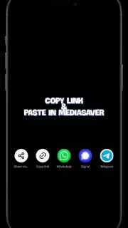 Media Saver capture 1