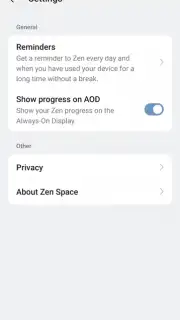 Zen Space capture 13
