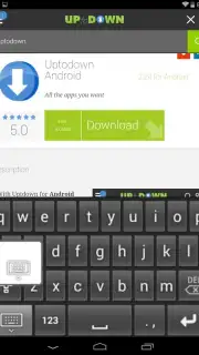 Big Old Keyboard capture 4