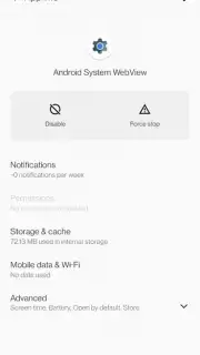 Android System WebView capture 11