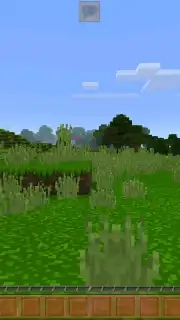 King Craft capture 1