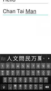 Mixed Chinese Keyboard Plus capture 5