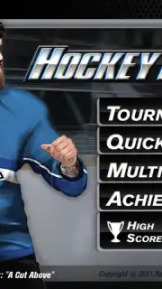 Hockey Fight Lite capture 6