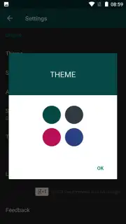 Hide Something capture 4