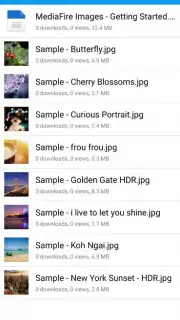MediaFire capture 10