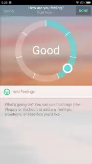 Sanvello capture 3
