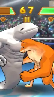 Fight of Animals capture 5