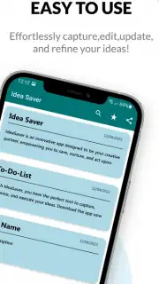 Idea Saver capture 12