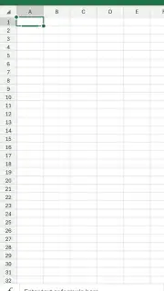 Microsoft Excel capture 3