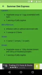 Summer Diet Express capture 2