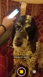 V Camera capture 7