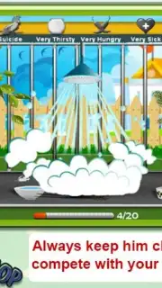Parrot Pet Shop capture 11