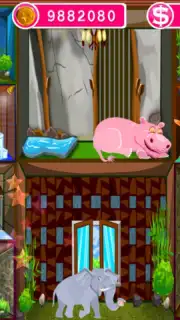 Pet Hotel capture 1