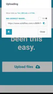 Solidfiles capture 2